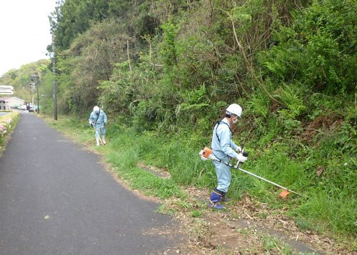 ボランティア活動を実施しました