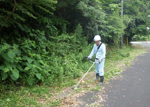 ボランティア活動を実施しました