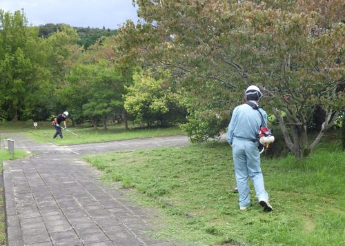 ボランティア活動に参加しました