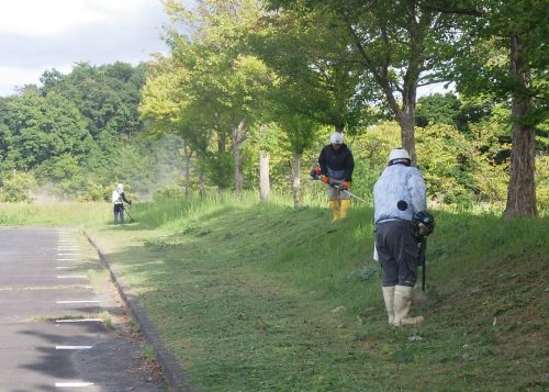 ボランティア作業に参加しました