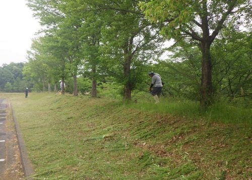 ボランティア作業に参加しました