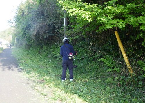 ボランティア活動を実施しました