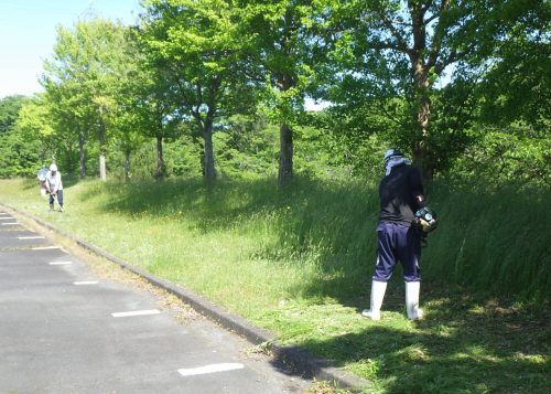 ボランティア活動に参加しました
